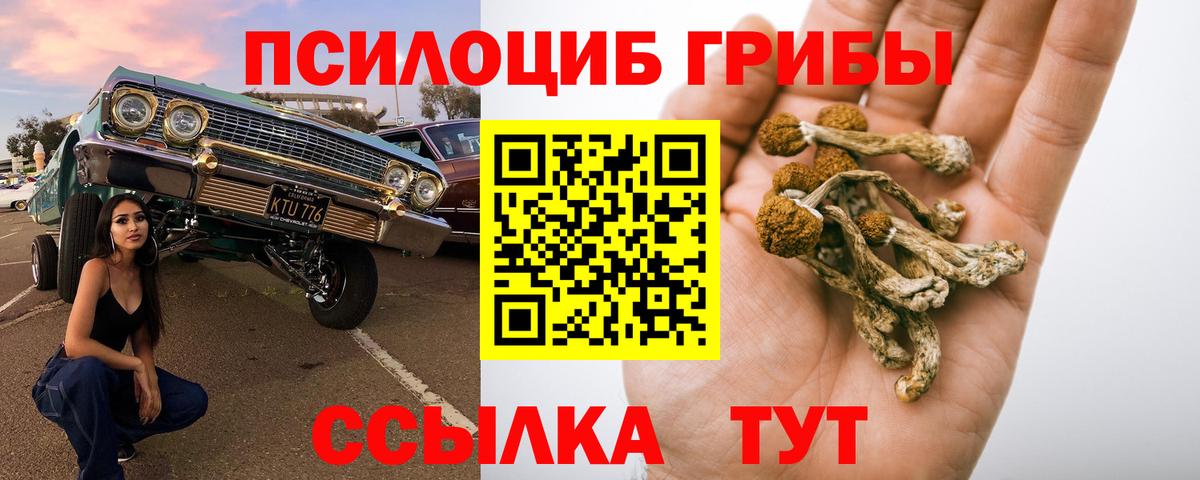 Галлюциногенные грибы прущие грибы  Вход с VPN  Ликино-Дулёво  Псилоцибиновые грибы Cubensis 